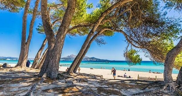 Naty apartamentos Alcudia  Bagian luar foto